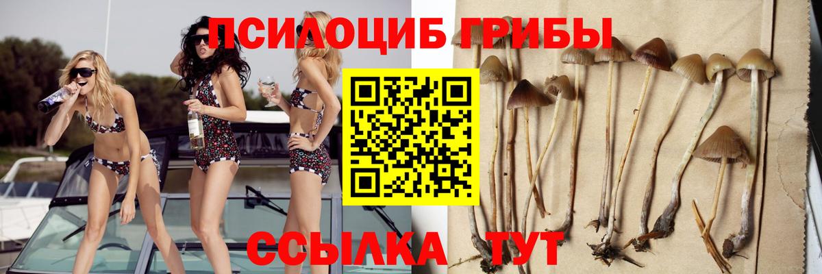 Галлюциногенные грибы Magic Shrooms  наркошоп  Псилоцибиновые грибы мухоморы  Зеленодольск  Вход с VPN 